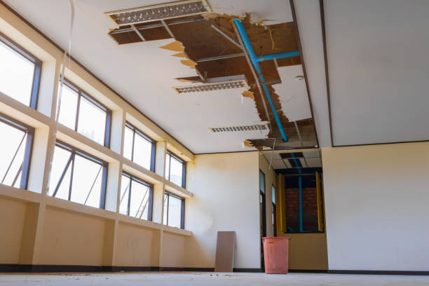 Best Emergency water damage restoration  in Knollwood, IL