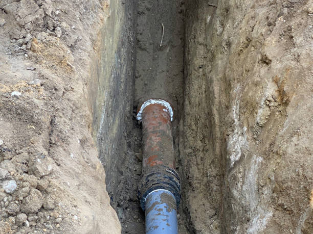 Best Basement water damage restoration  in Knollwood, IL