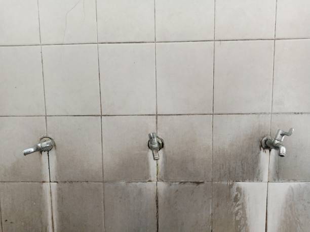 Best Residential water damage restoration  in Knollwood, IL